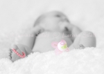 16 Babies 2011
